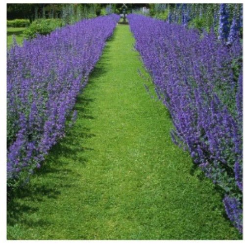 OUTLET - Infinity Concept Store