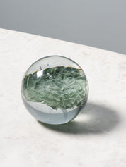 FERMACARTE FIORE VERDE