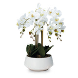PIANTA ORCHIDEA — Orchidea Artificiale Real Touch a 4 Rami