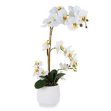Orchidea Artificiale Real Touch a 2 Rami