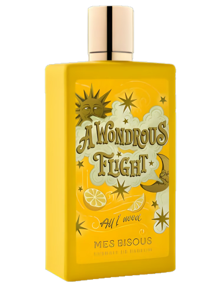 a_wondrous_flight.avif