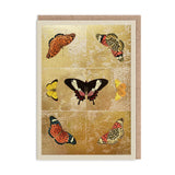 Butterfly Symmetry Greeting Card