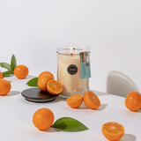 Clementine Shine - Candela Profumata 524g