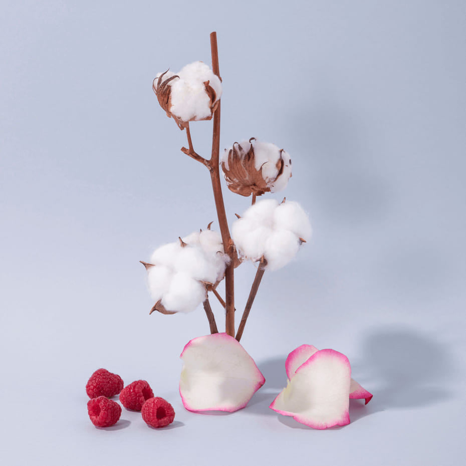 Crema mani e corpo al fiore di cotone 300 ml