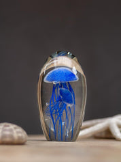 FERMACARTE 2 MEDUSE - Infinity Concept Store