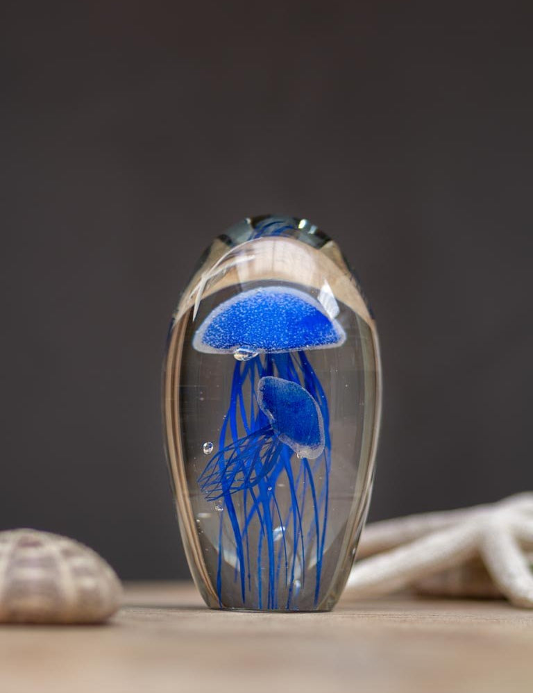 FERMACARTE 2 MEDUSE - Infinity Concept Store