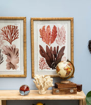 FERMACARTE FIORE ROSSO - Infinity Concept Store