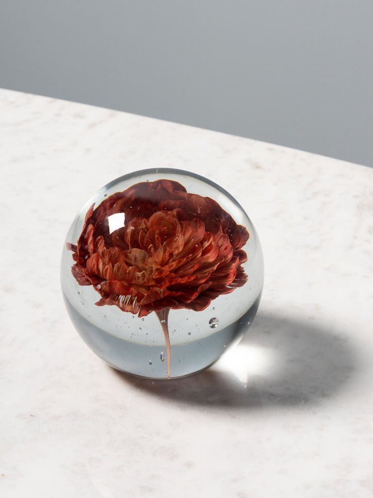 FERMACARTE FIORE ROSSO - Infinity Concept Store