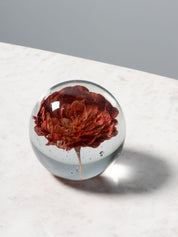 FERMACARTE FIORE ROSSO - Infinity Concept Store