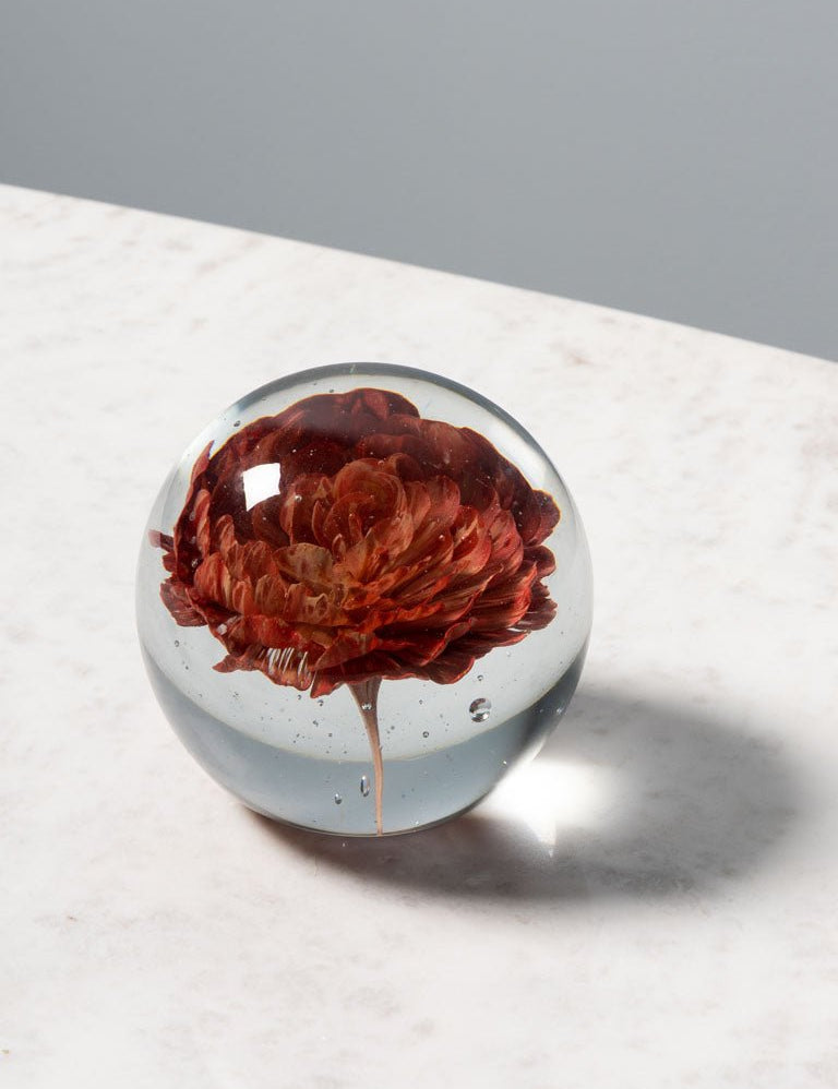 FERMACARTE FIORE ROSSO - Infinity Concept Store