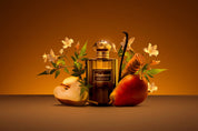 KASHMIR IMPERIAL 100ml - Infinity Concept Store