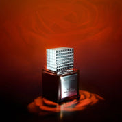 DARK IMAGINATION - Eau de Parfum Orientale Floreale