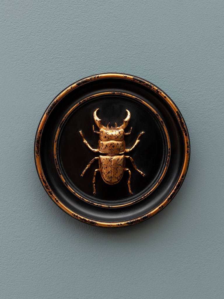 QUADRO CON SCARABEO - Infinity Concept Store