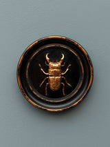QUADRO CON SCARABEO