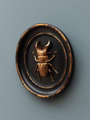 QUADRO CON SCARABEO - Infinity Concept Store