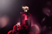 SWEET SERENADE IMPERIAL 100ml - Infinity Concept Store